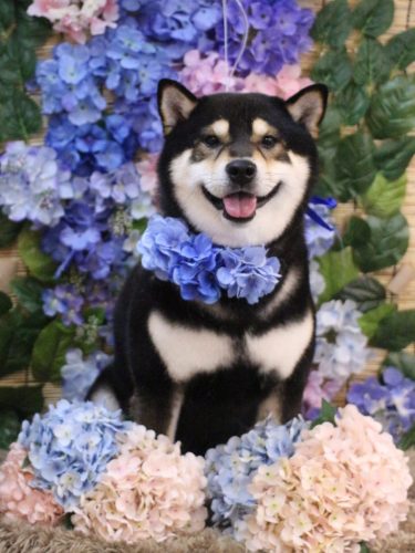 20250622ココくん